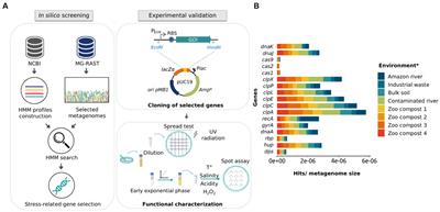 Identification and functional analysis of novel protein-encoding sequences related to stress-resistance